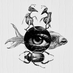 FISHEYE  30x30cm