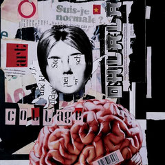 SUIS - JE NORMALE  20x30cm