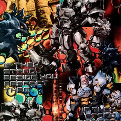 REINHARDT  40x60cm