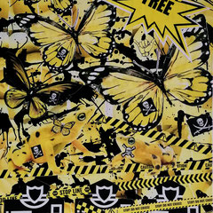 FLYING PIRATES  30x40cm