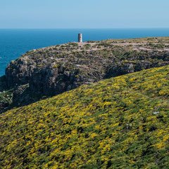 Cap Frehel