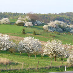 Blick beim Frühstück vom Südostbalkon