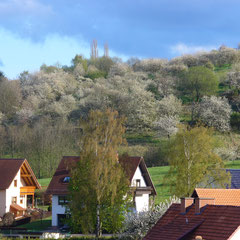 Blick am Nachmittag vom Südwestbalkon