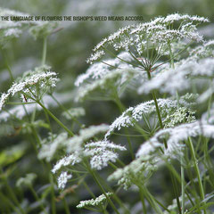 Forget injuries, never forget kindnesses. ~ Confucius