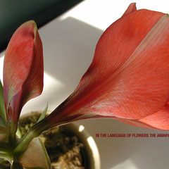 Generosity is giving more than you can, and pride is taking less than you need. ~ Kahlil Gibran