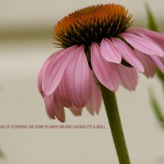 Derive happiness in oneself from a good day's work, from illuminating the fog that surrounds us. ~ Henri Matisse