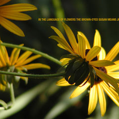 Injustice anywhere is a threat to justice everywhere. ~ Martin Luther King Jr.