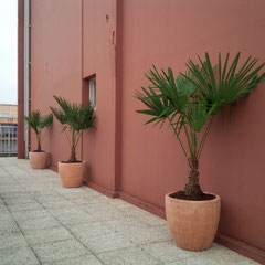 Aménagement de cette terrasse dans le 19ème arrondissement parisien