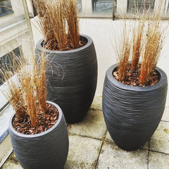 Aménagement de ce balcon pour une société implantée dans le centre de Paris
