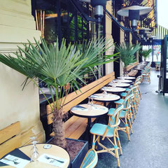 Aménagement végétal de cette terrasse Place de La République