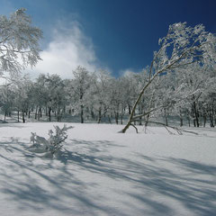 冬：冬の法恩寺山