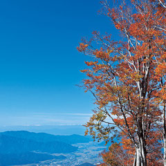 秋：法恩寺山からの紅葉と勝山市眺望
