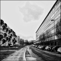 architekture