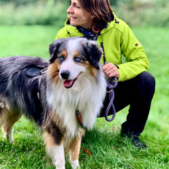 Die unterschiedlichsten Hunderassen finden bei den Ausbildungen und Workshops zur Ruhe.