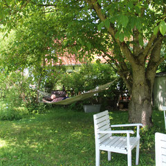 Hängematte beim Nußbaum