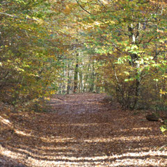 Herbstweg