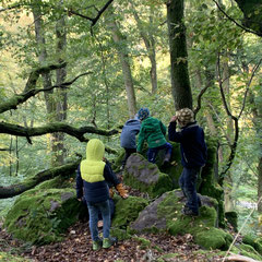 Felsen erklettern