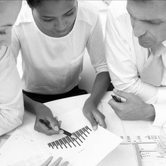 DESARROLLADOR - JUEZ - BusinessTreeSystem©