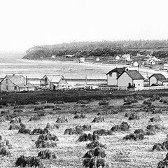 Baie Ste-Claire, 1901, la moisson