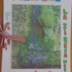 Portada 1