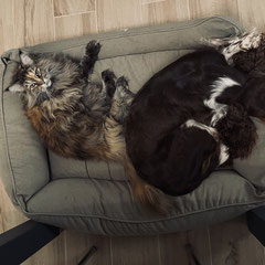 Cleo und Sunny