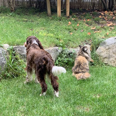 Cleo und Sunny