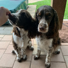 Urmel und Cleo