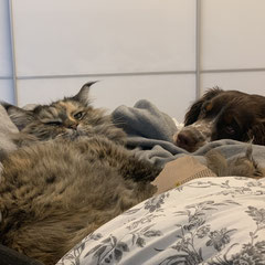 Cleo und Sunny