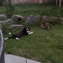 Cleo und Sunny
