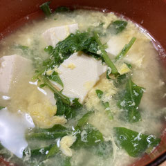 Arugula ルッコラ 四賀梶原農園