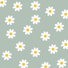 Daisies