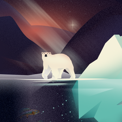 Polar Bear