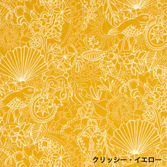 【完売】SS20 クリッシー　イエロー