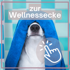 Wellness und Pflegeprodukte für Hunde