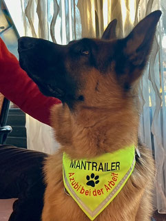 Neongelbs HUndehalstuch bestickt mit AZUBI bei der Arebit zum Mnatrailer.