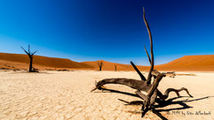 Deadvlei, Landscape, Landschaft in Namibia