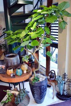 Green | - Leaves of grass / cafe草の葉