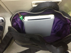 バッグにもスッポリ入ります