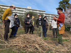 枯れ枝は虫の住処となる