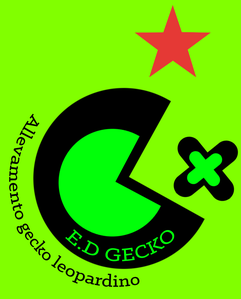 Allevamento geco leopardino E.D gecko