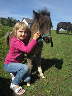 Ferien Bauernhof Minipony