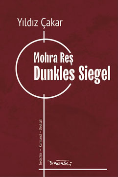 Das Bild zeigt das Cover von "Dunkles Siegel".