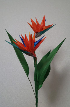 講習作品：「ストレチア」