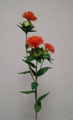 講習作品:「紅花」