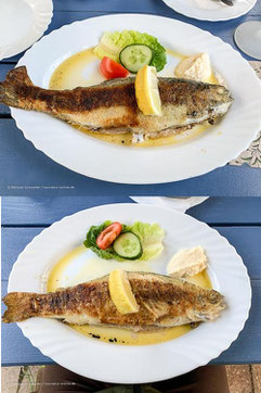Restaurant mit Saibling (oben) und Forelle (unten) in Wiesner´s Teichwirtschaft