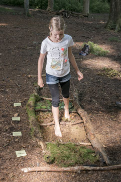 Lernort Natur: Kind entdeckt den Wald