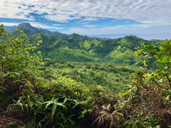 Te Rua Manga, The Needle, Rarotonga hiking, mountain climbing
