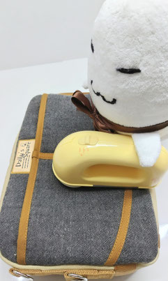 布製鞄毛玉取り