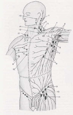 Lymphdrainage - Physio-Mindl