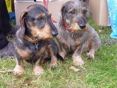 Foto: Oetken
